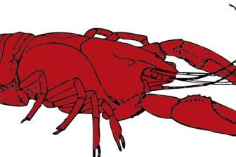Crayfish Clip Art