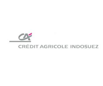 신용 Agricole Indosuez