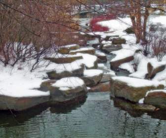 Creek In Snow