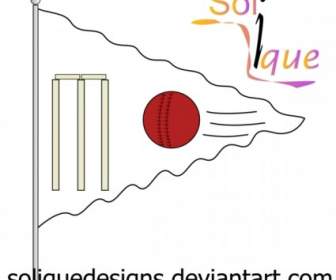 Cricket-flag