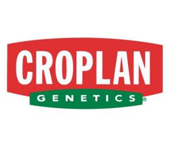 Croplan-Genetik