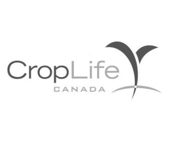 Croplife Kanada