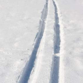Cross Country Skiing Trail