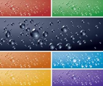 Crystal Clear Water Drops Vector