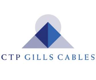 CTP Branchies Câbles