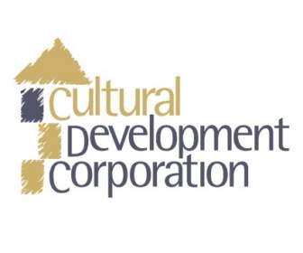 文化發展公司