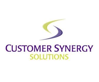 Solutions De Synergie Clients