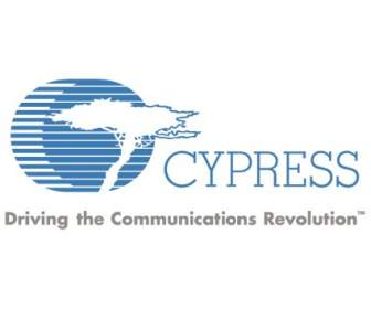 Cypress Semikonduktor