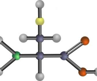 システインのアミノ酸