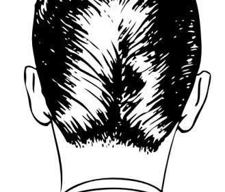 D A Haircut Rear View Clip Art