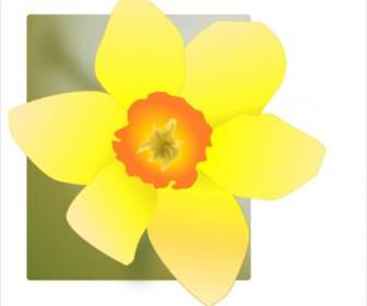 Daffodil Clip Nghệ Thuật