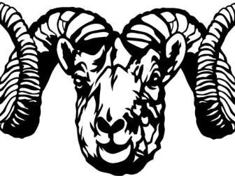 Dall Sheep Ram Clip Art