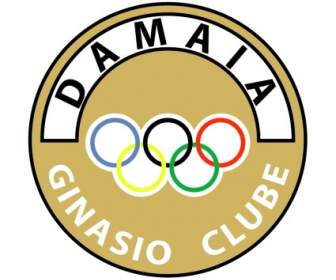 Damaia Ginasio 클럽