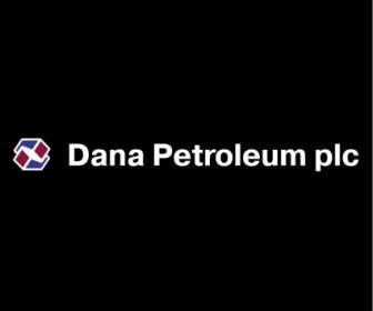 丹娜石油