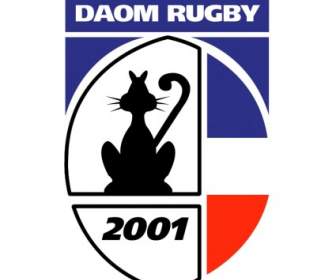 Daom Rugby