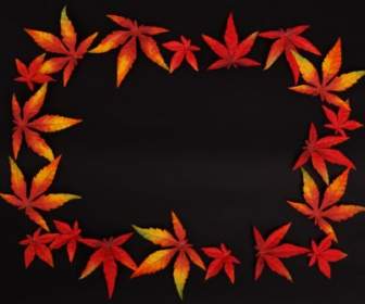 Dark Autumn Leaf Frame