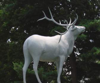 Deer Monument In The Cemetery