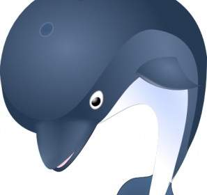 Delfin картинки