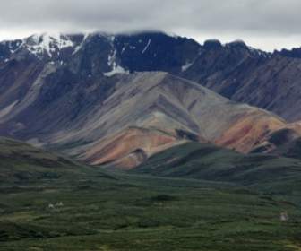 Denali Alaska Nature