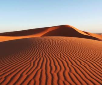 Duna Di Sabbia Desertica Sfondo Paesaggio Natura