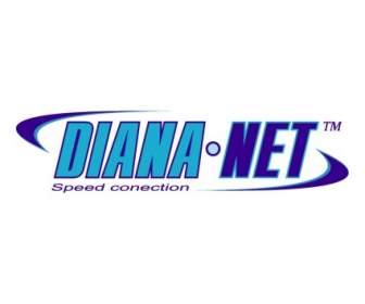 Diana Netto