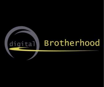 цифровой братство