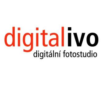 Digitale Ivo