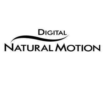 Naturalmotion ดิจิตอล