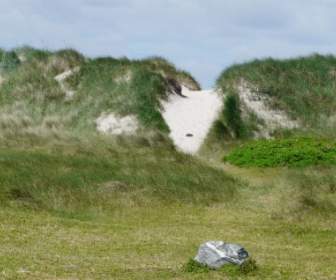 Grobla Morza Północnego Nordfriesland