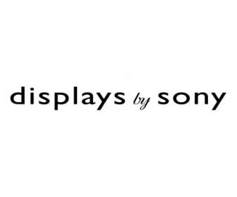 Menampilkan Oleh Sony