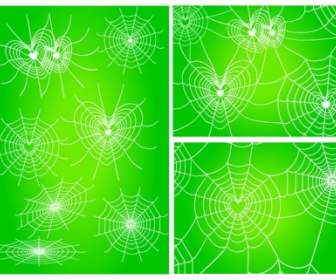 Beragam Spider Web Cinta Vektor Network