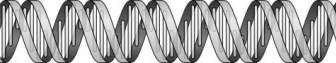 Spirala DNA Clipart