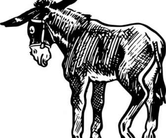 Donkey Outline In Black And White Clip Art