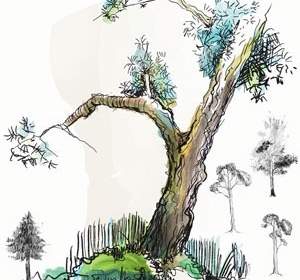 Pohon-pohon Doodled Hi Res Ps Sikat