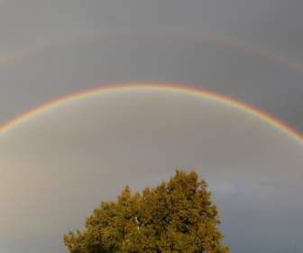 二重の虹虹のミラーリング