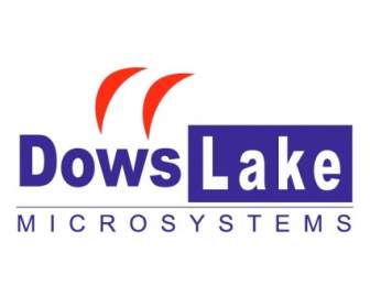 Dowslake 微系統