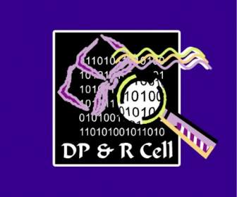 خلية R Dp