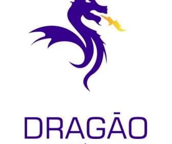 Estadio Do Dragao
