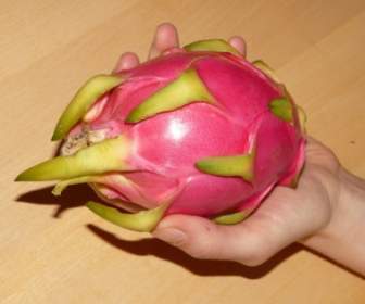 dragon fruit pitahaya pitaya