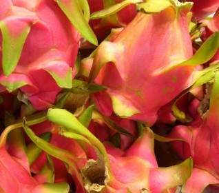 dragon fruit pitaya fruit