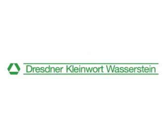 Dresdner Kleinwort Wasserstein