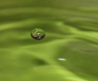 Goccia Di Liquido Verde