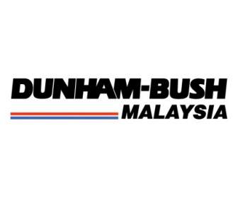 Dunham Cespuglio Malaysia