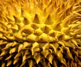 Durian-Frucht
