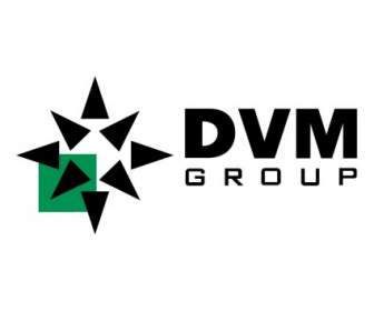 DVM группы