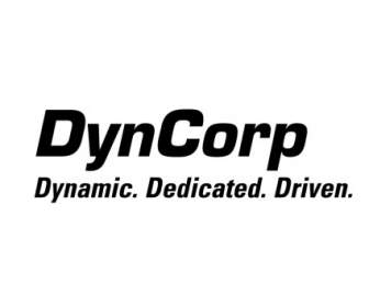 Dyncorp 시스템 솔루션