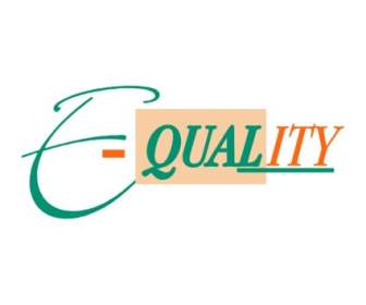 E-Qualität