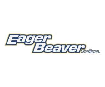 Eager Beaver-Anhänger