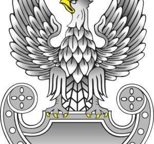 Eagle Biểu Tượng Cánh Clip Nghệ Thuật