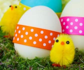 Ostern-Küken Und Eier
